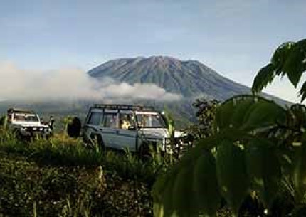 Shared Trip in Bali: Salak Agro Jeep Village Trail