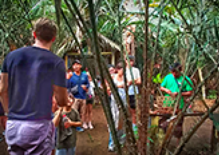 Shared Trip in Bali: Salak Agro Eco Trekking