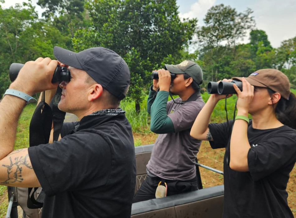 Lampung: Birding Tour to Way Kambas – Way Kanan 4D3N